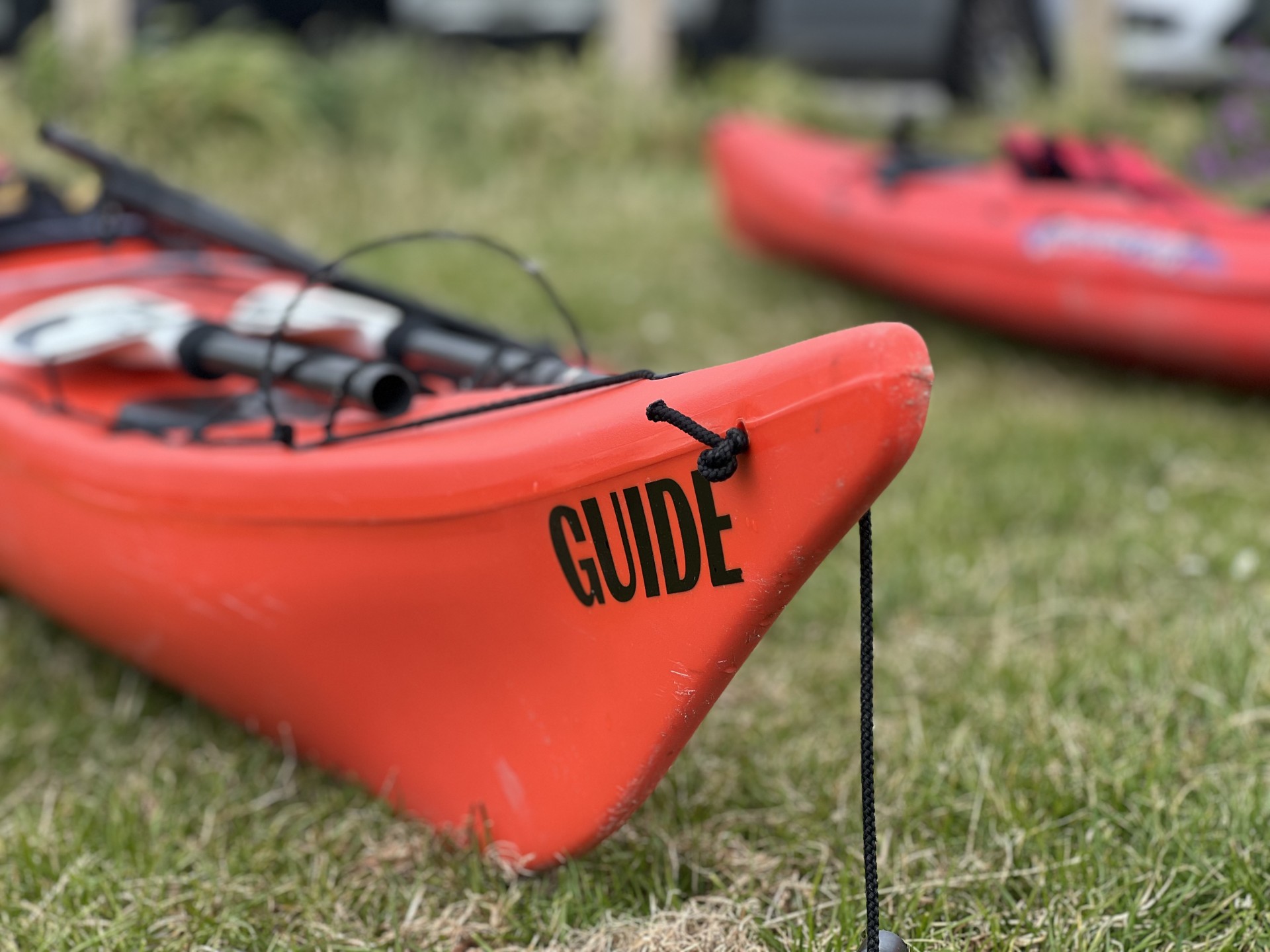 Guide kayaks prepped for launch.
