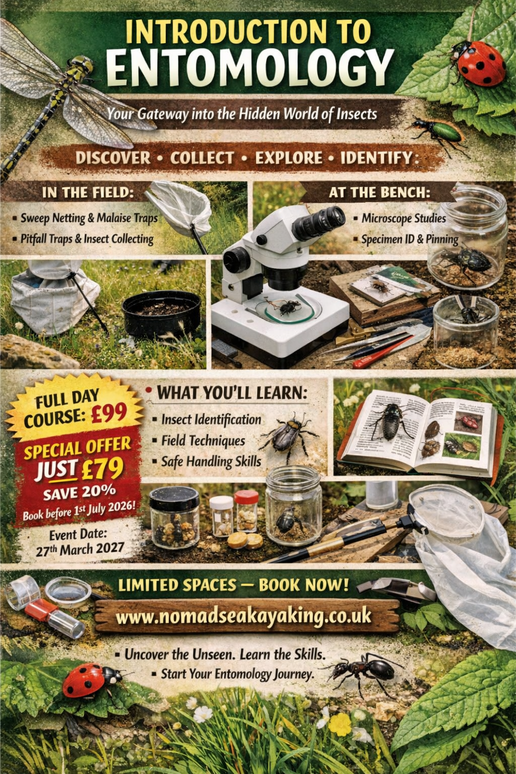 Introduction to Entomology Course in Suffolk.